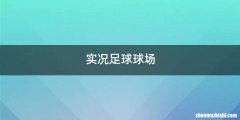 实况足球球场
