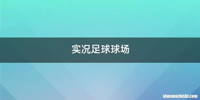 实况足球球场