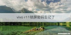 vivo r11锁屏密码忘记了
