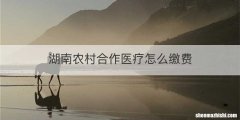 湖南农村合作医疗怎么缴费