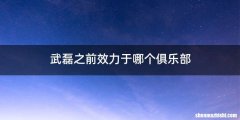 武磊之前效力于哪个俱乐部