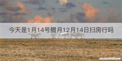 今天是1月14号腊月12月14日扫房行吗