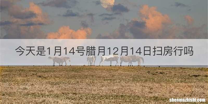 今天是1月14号腊月12月14日扫房行吗
