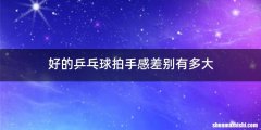 好的乒乓球拍手感差别有多大