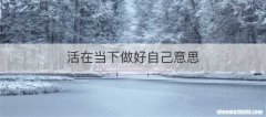 活在当下做好自己意思