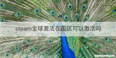 steam全球激活在国区可以激活吗