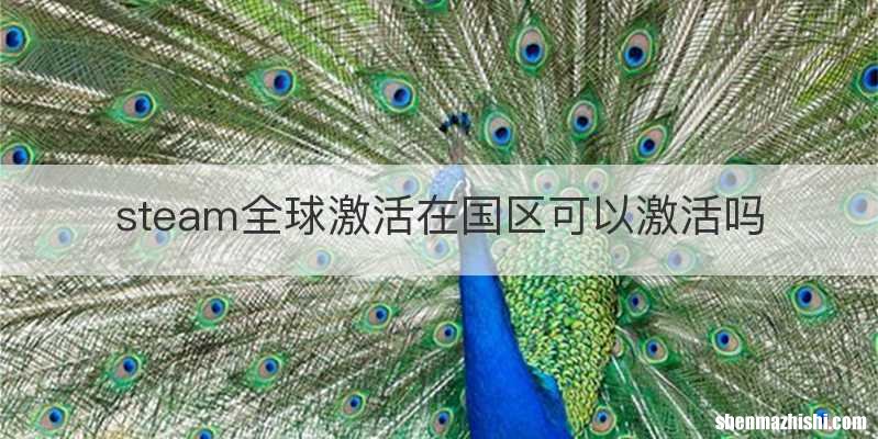 steam全球激活在国区可以激活吗