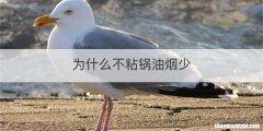 为什么不粘锅油烟少