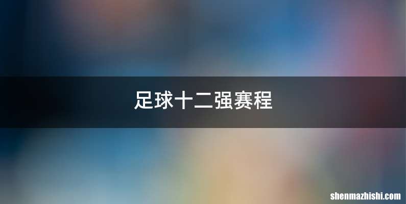 足球十二强赛程