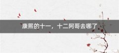 康熙的十一，十二阿哥去哪了