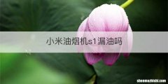 小米油烟机s1漏油吗
