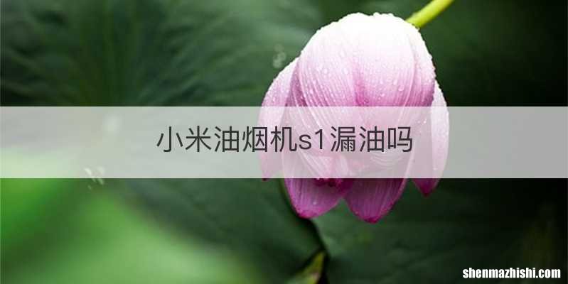 小米油烟机s1漏油吗