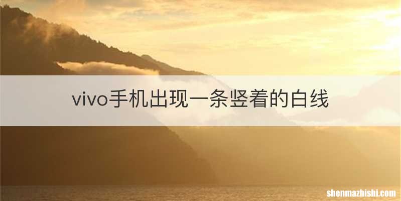vivo手机出现一条竖着的白线
