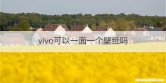 vivo可以一面一个壁纸吗