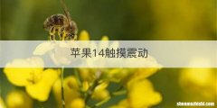 苹果14触摸震动