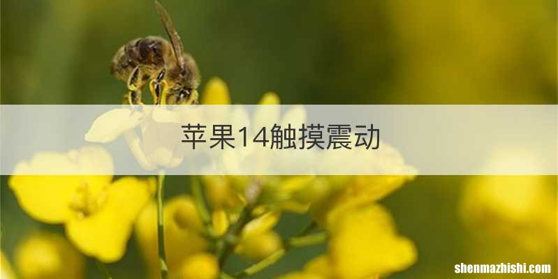 苹果14触摸震动