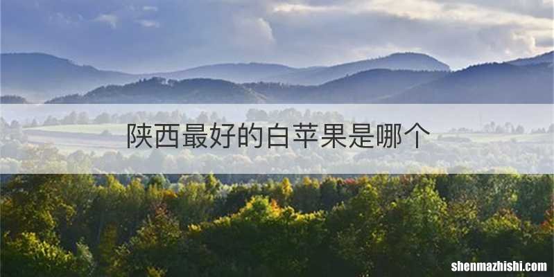 陕西最好的白苹果是哪个
