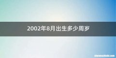 2002年8月出生多少周岁
