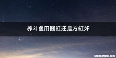 养斗鱼用圆缸还是方缸好
