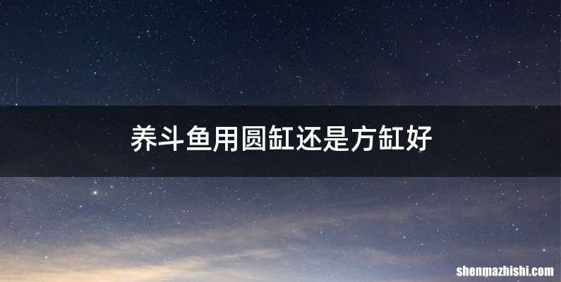 养斗鱼用圆缸还是方缸好