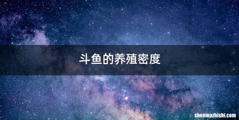 斗鱼的养殖密度