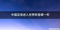 中国足球进入世界杯是哪一年