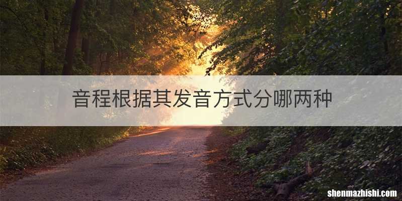 音程根据其发音方式分哪两种