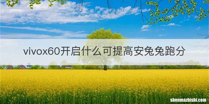 vivox60开启什么可提高安兔兔跑分