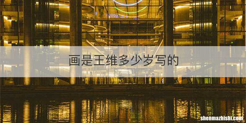 画是王维多少岁写的