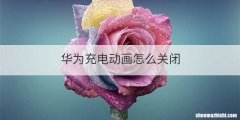 华为充电动画怎么关闭