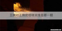 王牌对王牌爬楼梯润滑是哪一期