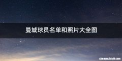 曼城球员名单和照片大全图