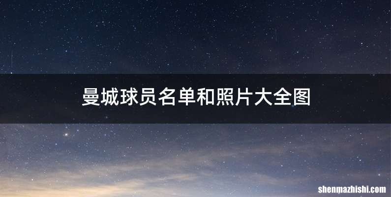曼城球员名单和照片大全图