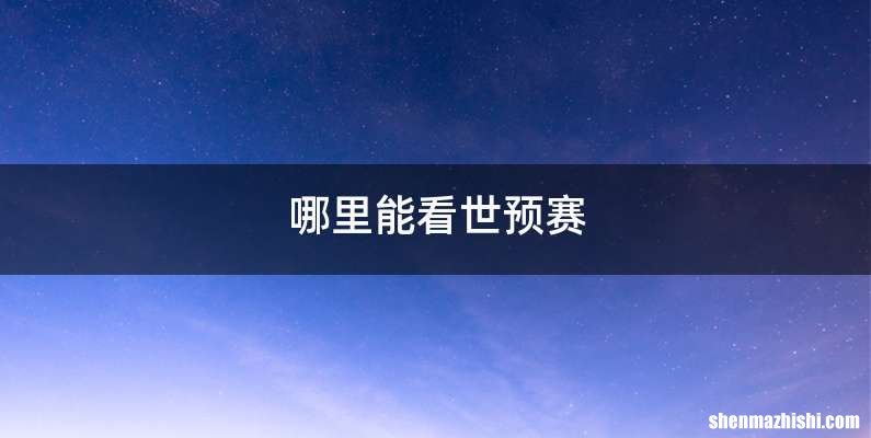 哪里能看世预赛
