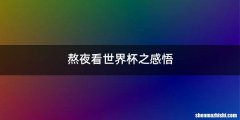 熬夜看世界杯之感悟