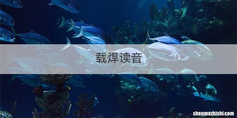 载焊读音