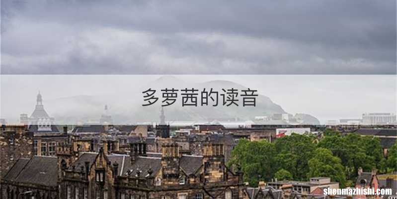 多萝茜的读音