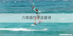 平底锅与烙饼锅哪个实用