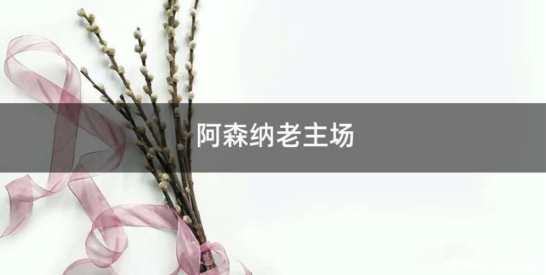 阿森纳老主场