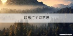 暗思竹全诗意思