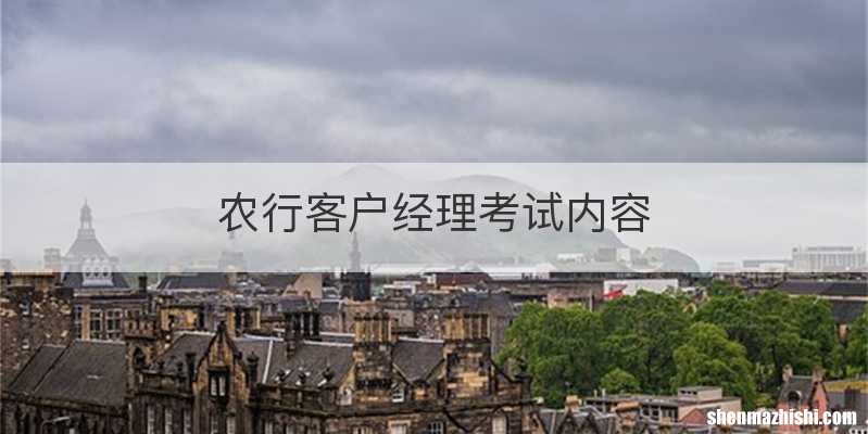 农行客户经理考试内容