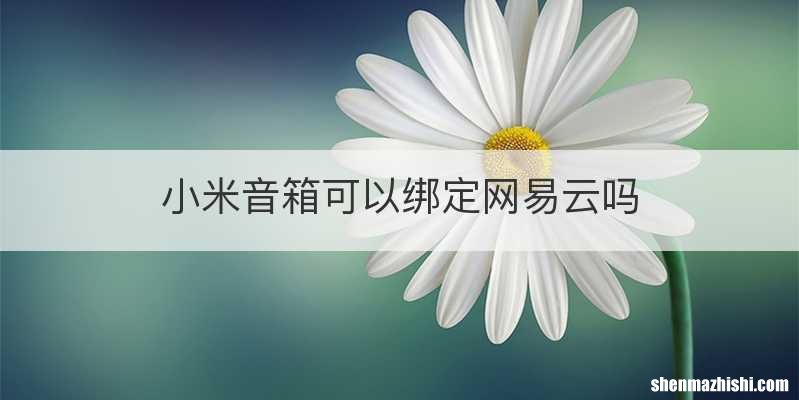 小米音箱可以绑定网易云吗