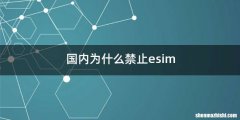 国内为什么禁止esim