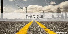 竹林反义词