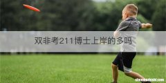 双非考211博士上岸的多吗