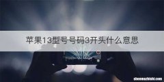 苹果13型号号码3开头什么意思