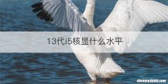 13代i5核显什么水平
