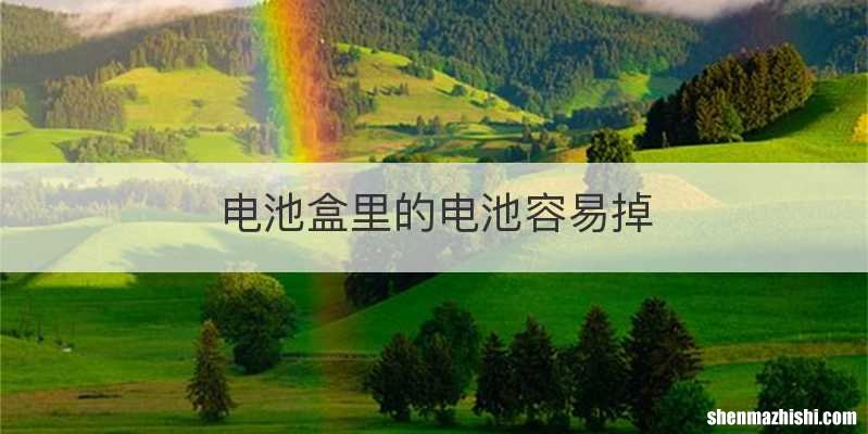 电池盒里的电池容易掉
