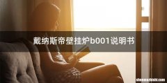 戴纳斯帝壁挂炉b001说明书