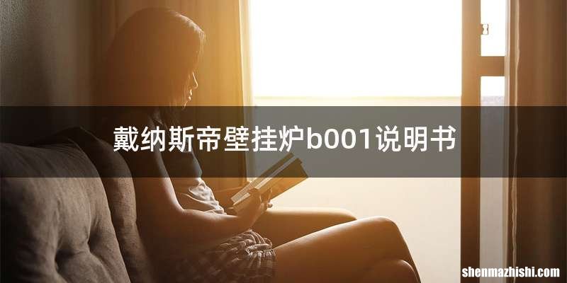 戴纳斯帝壁挂炉b001说明书